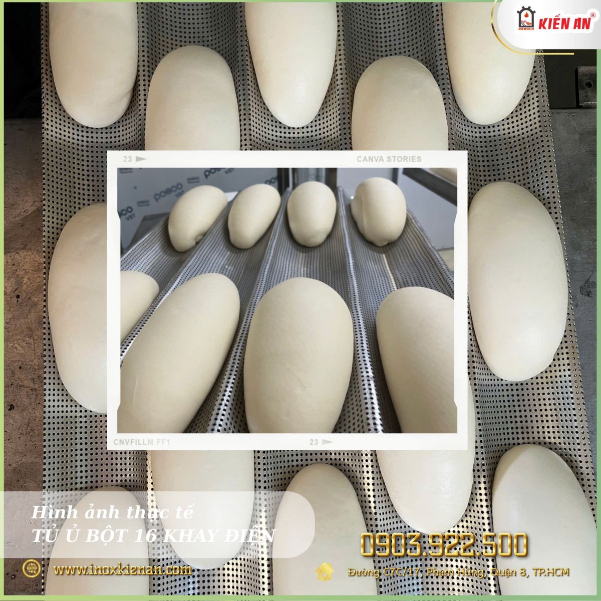 Bánh được ủ từ tủ ủ bột Kiến An