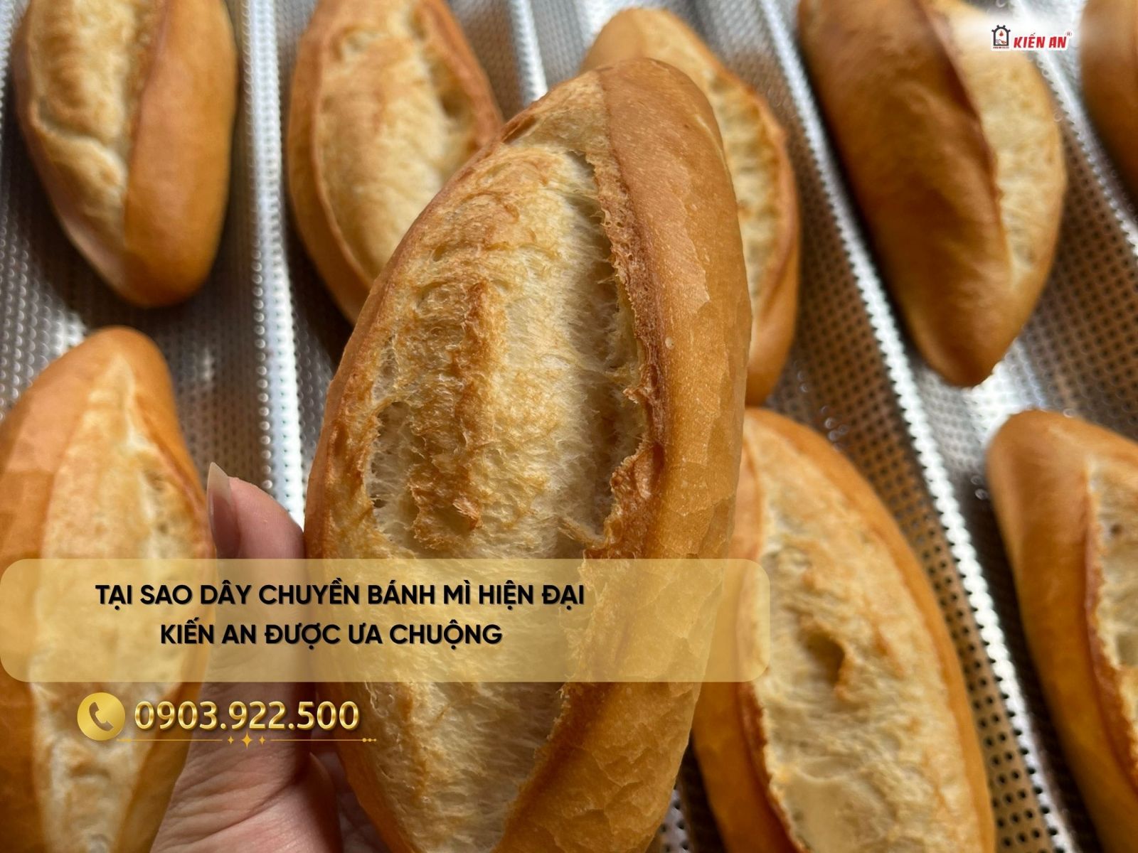 Hình ảnh thực tế bánh được nướng từ lò bánh mì Kiến An