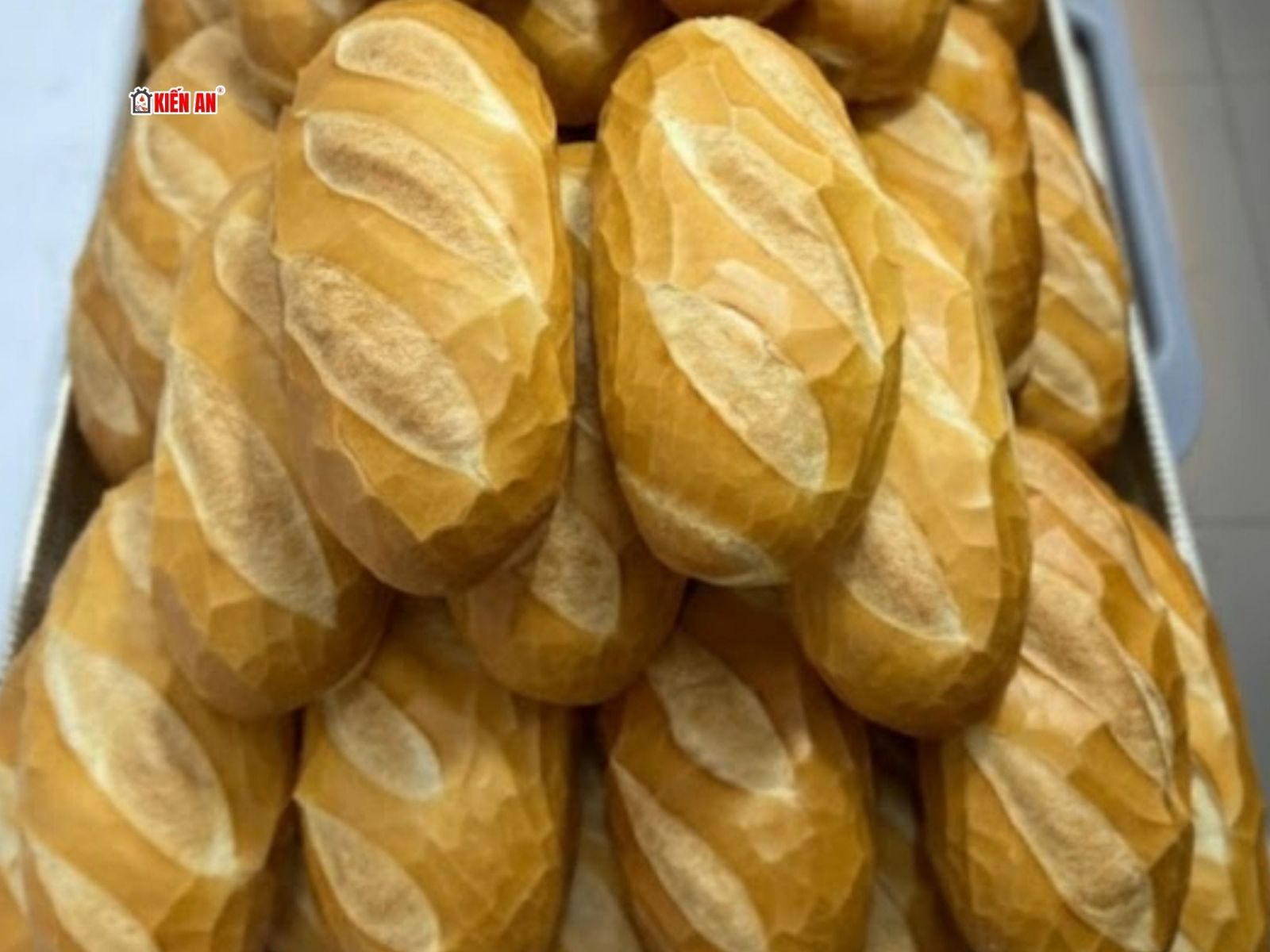 Bỏ sỉ bánh mì lạt tầm khoảng 2.000 - 3.000 ngàn