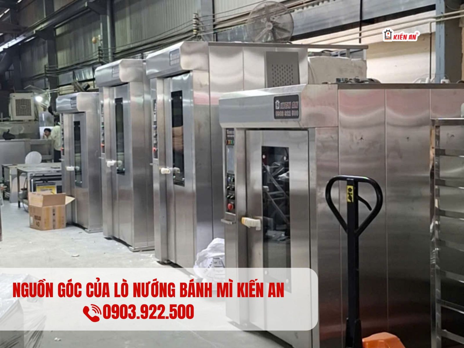 Lò điện Kiến An: Kích cỡ từ 6 - 32 khay