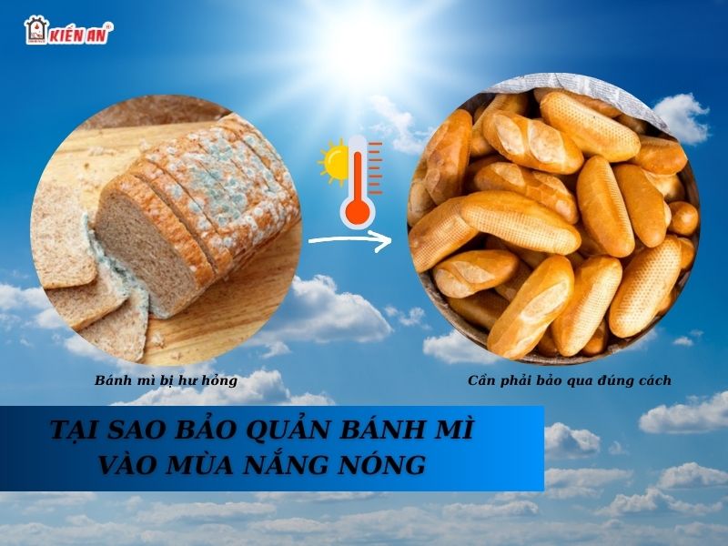 Tại sao cần bảo quản bánh mì vào mùa nắng nóng?