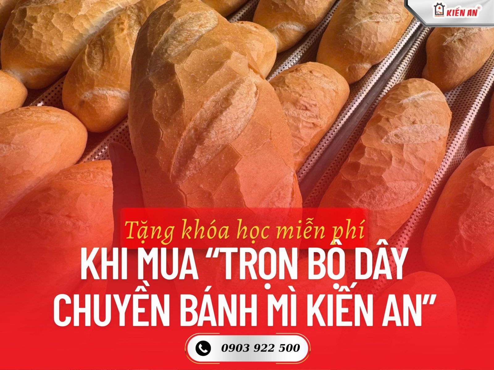 Tặng Ngay Khóa Học Dạy Làm Bánh Mì Khi Đầu Tư Dây Chuyền Sản Xuất Kiến An