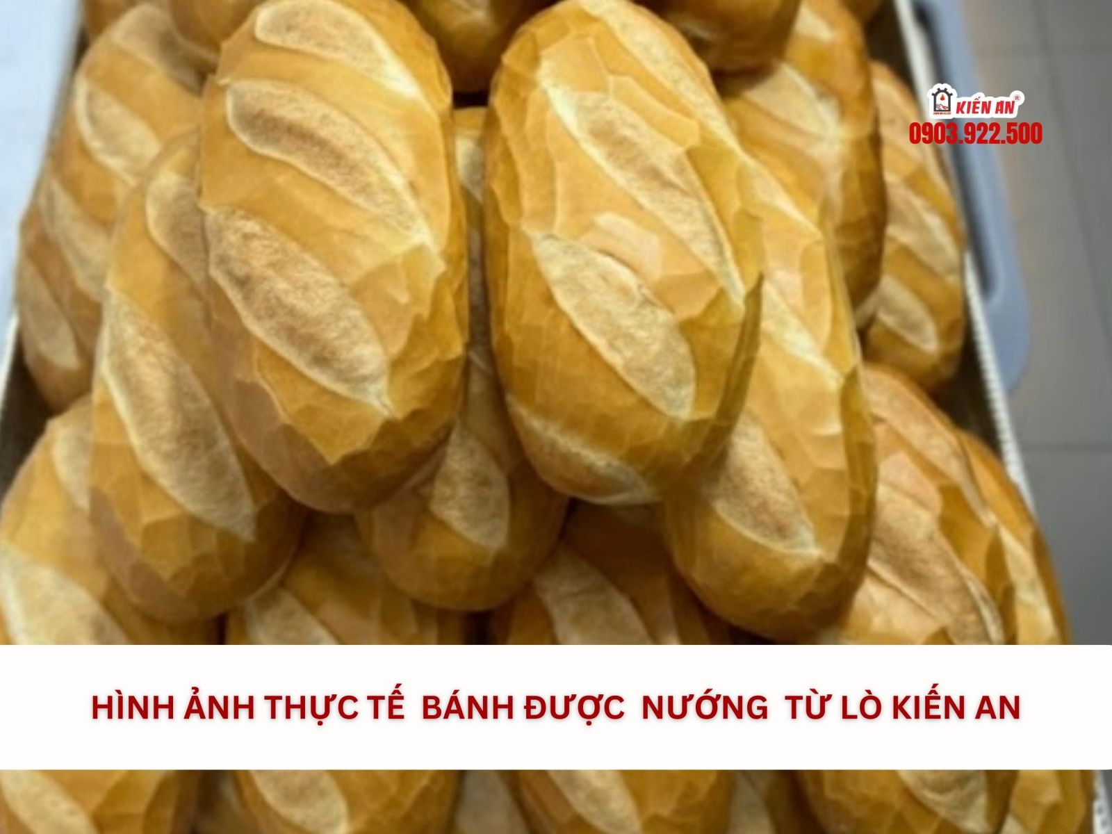 Hình ảnh thực tế bánh được nướng từ lò bánh mì Kiến An