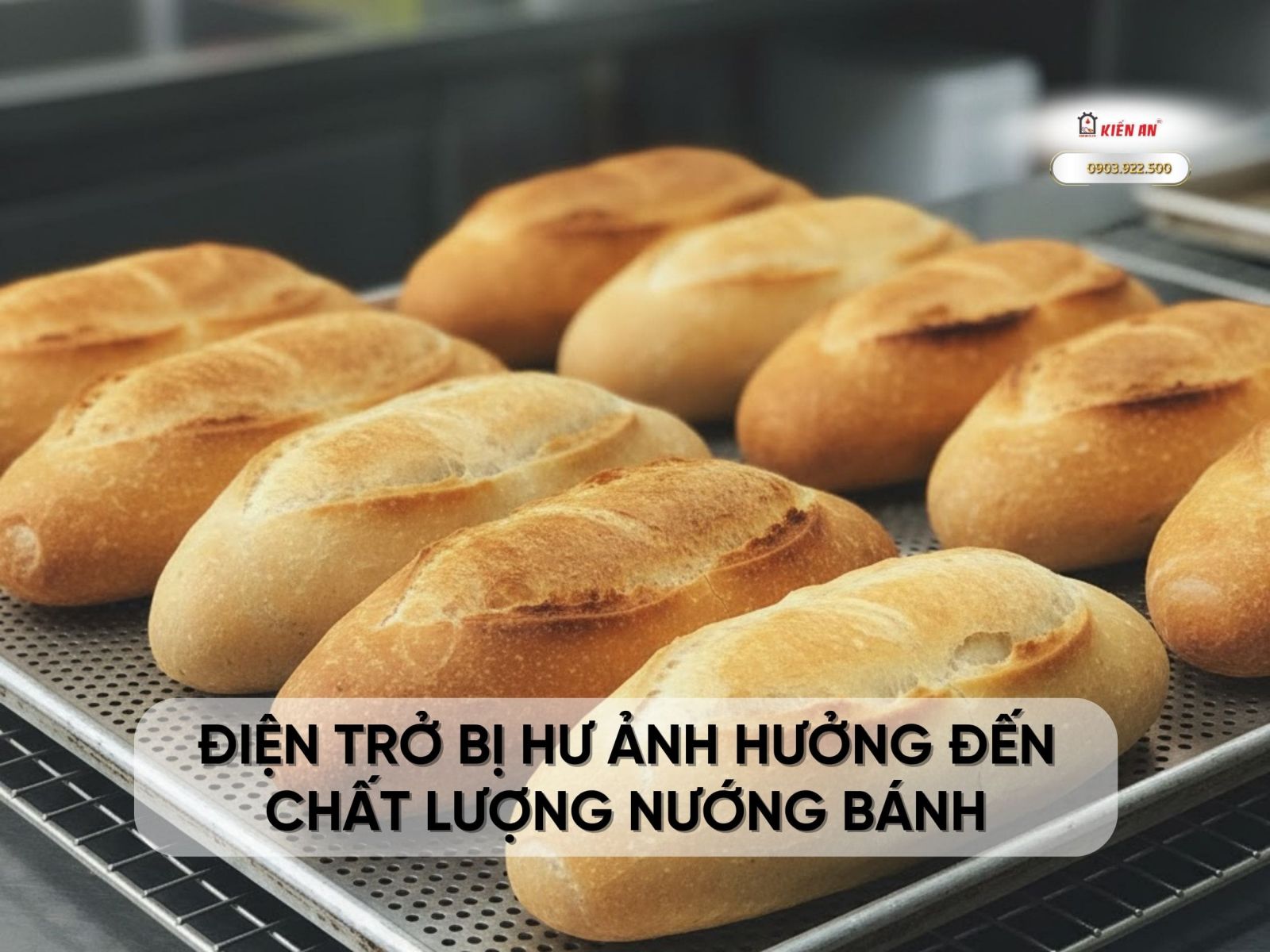 Lò nướng bánh mì bị hư điện trở nướng không đều màu