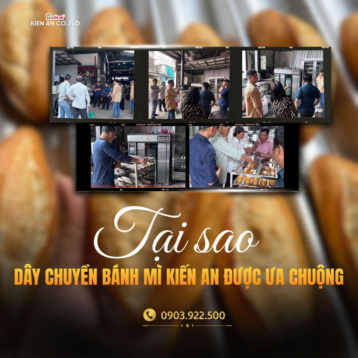 Tại sao dây chuyền sản xuất bánh mì kiến an lại được ưa chuộng?